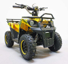 Квадроцикл GreenCamel Гоби K40 (36V 800W R6 Цепь) быстросъем