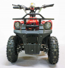 Квадроцикл GreenCamel Гоби K40 (36V 800W R6 Цепь) быстросъем