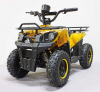 Квадроцикл GreenCamel Гоби K45 (36V 800W R6 Цепь) быстросъем, ножной тормоз