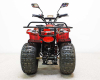 Квадроцикл GreenCamel Атакама T120 (48V20Ah 800W R8 Цепь)