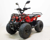Квадроцикл GreenCamel Атакама T120 (48V20Ah 800W R8 Цепь)