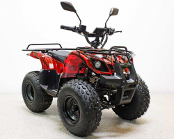 Квадроцикл GreenCamel Атакама T120 (48V20Ah 800W R8 Цепь)