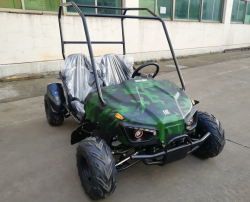 Багги GreenCamel Намиб T009 (60V20Ah 1500W R7) Дифф
