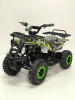 Квадроцикл GreenCamel Гоби K32 (36V 1000W R6 Цепь) ножной тормоз