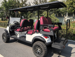 Гольфкар GreenCamel Сонора A42L (4+2, 4kW AC, R14 литые) LUX lifted