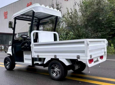 Гольфкар GreenCamel Сонора A2C 1500 (2+Cargo 1800W R10) пониженная