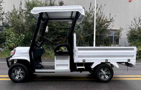 Гольфкар GreenCamel Сонора A2C 1500 (2+Cargo 1800W R10) пониженная